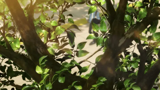 Love Unseen Beneath the Clear Night Sky izle - Türk Anime