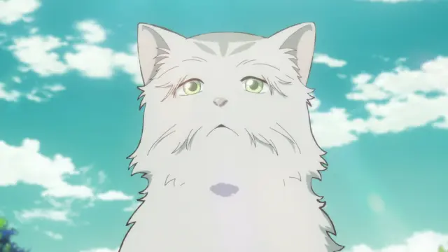 The Cat and the Dragon izle - Türk Anime
