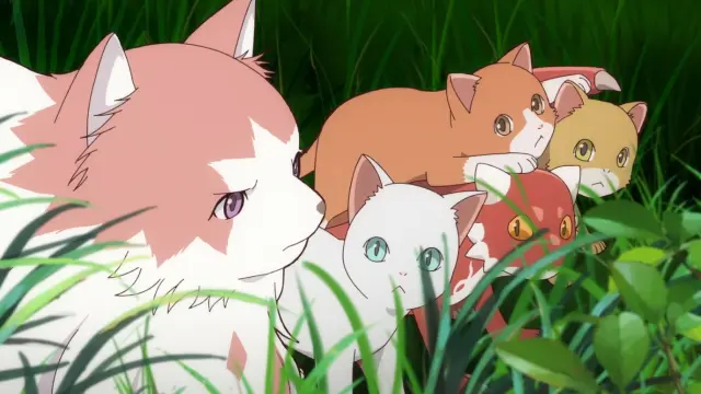 The Cat and the Dragon izle - Türk Anime