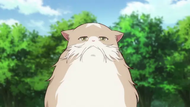 The Cat and the Dragon izle - Türk Anime